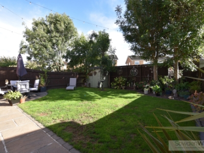 Picture 11